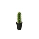 Florero Con Cactus 'Euphorbia Ingens' 26cm - Deko Verde E Preto - Asa Selection ASA SELECTION ASA66202444