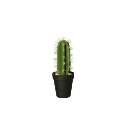 Cactus In Pot 'Euphorbia Ingens' 26cm - Deko Verde E Preto - Asa Selection ASA SELECTION ASA66202444