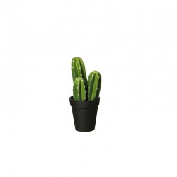 Florero Con Cactus 'Pachycereus Pringli' 22cm - Deko Verde E Preto - Asa Selection