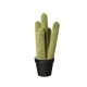 Florero Con Cactus 'Cleisto Cactus' Ø12,5cm - Deko Verde E Preto - Asa Selection ASA SELECTION ASA66216444