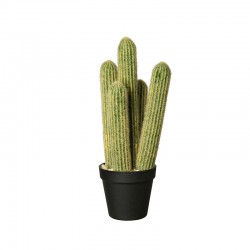 Vaso Com Cacto 'Cleisto Cactus' Ø12,5cm - Deko Verde E Preto - Asa Selection