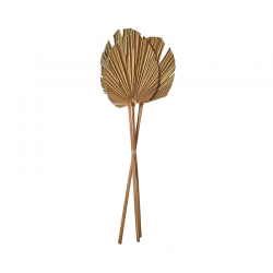 Palmeira en Lança Rama con 3 Unidades 60-70cm - Deko - Asa Selection
