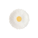 Prato Sobremesa 16cm Branco - Daisy - Easy Life EASY LIFE ELR3173DASW