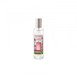 Vaporizador 100ml - Flor de Hibisco - Esteban Parfums ESTEBAN PARFUMS ESTBFH-004