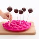 Cake Pops Mould Pink - Lekue LEKUE LK0215018R15M017