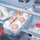 Egg Storage Caddy - FridgeStore Transparent - Joseph Joseph JOSEPH JOSEPH JJ8500010