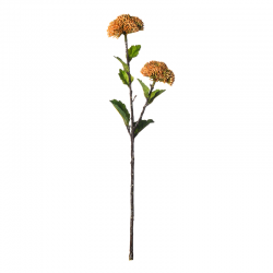 Rama Artificial Coral Sedum Naranja 44cm - Deko - Asa Selection ASA SELECTION ASA66895444