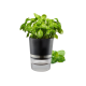 Vaso para Ervas Aromáticas - Botanico Preto - Gefu GEFU GF18920