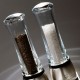 Salt Mill 21cm - Daman U´Select Transparent - Peugeot Saveurs PEUGEOT SAVEURS PG25458