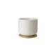 Cup with Coaster Sand - Theo - Stelton STELTON STTX-632-1