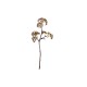 Berry Spray Twig Mauve 41cm - Deko - Asa Selection ASA SELECTION ASA66676444