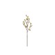 Leaf Branch Green 61cm - Deko - Asa Selection ASA SELECTION ASA66466444