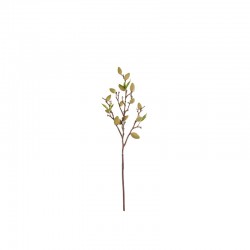 Haste Artificial Folhas Verde 61cm - Deko - Asa Selection ASA SELECTION ASA66466444