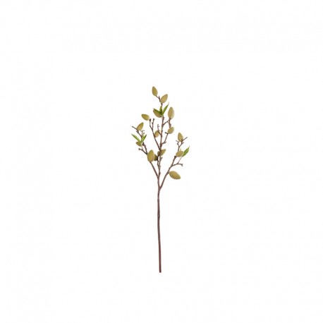 Haste Artificial Folhas Verde 61cm - Deko - Asa Selection ASA SELECTION ASA66466444