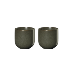 Set of 2 200ml Tea Cups - Coppa Nori Green - Asa Selection ASA SELECTION ASA19082192