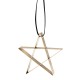 Star Ornament Small Gold - Figura - Stelton STELTON STT10603