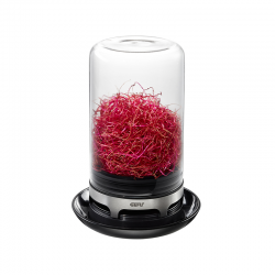 Sprouting Jar - Bivita Black And Transparent - Gefu GEFU GF18910