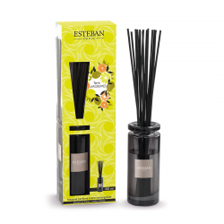 Bouquet Perfumado Inicial 100ml - Terre d'Agrumes - Esteban Parfums ESTEBAN PARFUMS ESTTEA-032