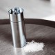 Salt Mill Arne Jacobsen Silver - Stelton STELTON STT017-3